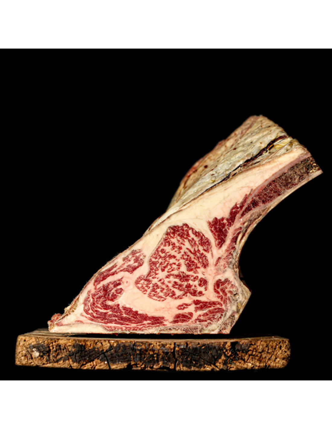 Terrine de bœuf BIO viande TARTINABLES BIO